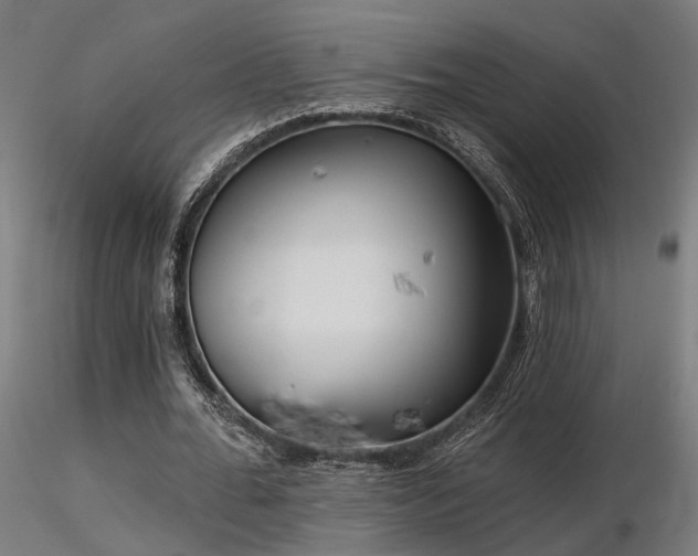X0000116770676200912171534