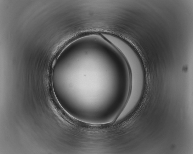 X0000116770677200912171534