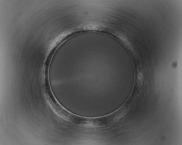 X0000116770678200912171534