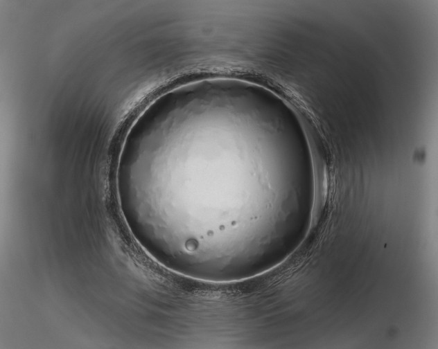 X0000116770679200912171534