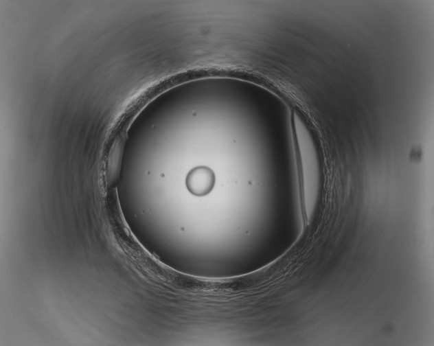 X0000116770680200912171534