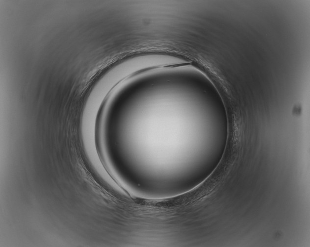 X0000116770681200912171534