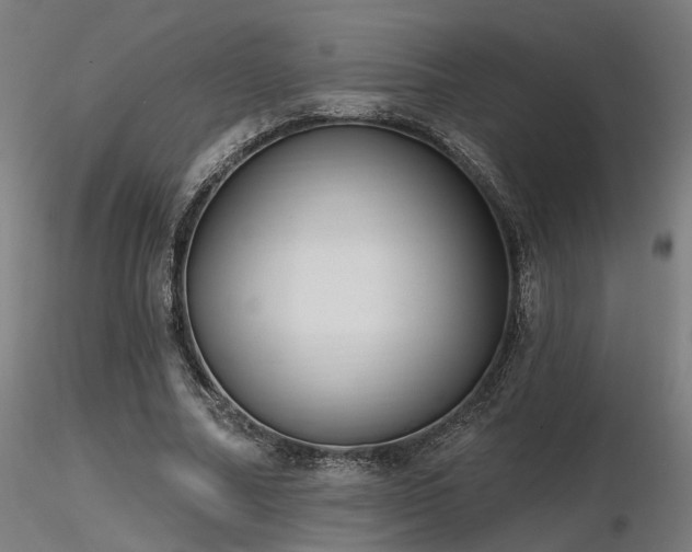 X0000116770682200912171534