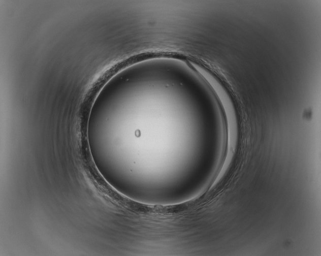 X0000116770684200912171534