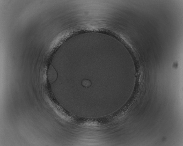 X0000116770685200912171534