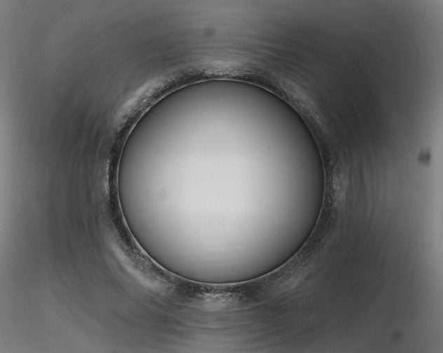 X0000116770686200912171534