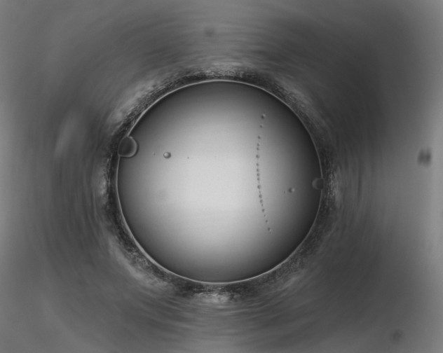 X0000116770687200912171534