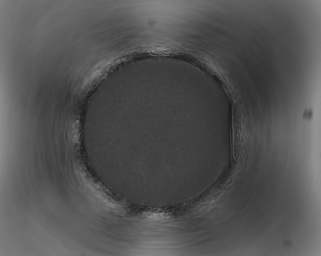 X0000116770689200912171534