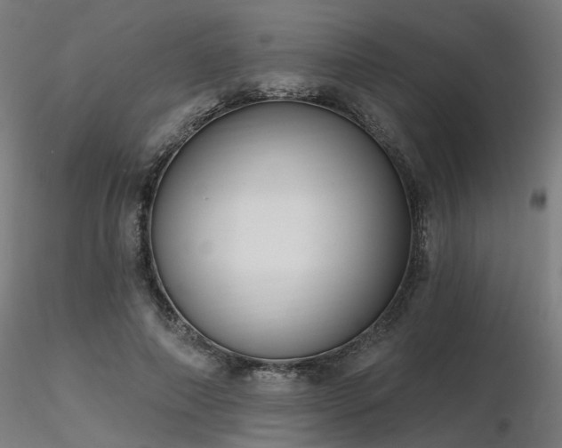 X0000116770690200912171534