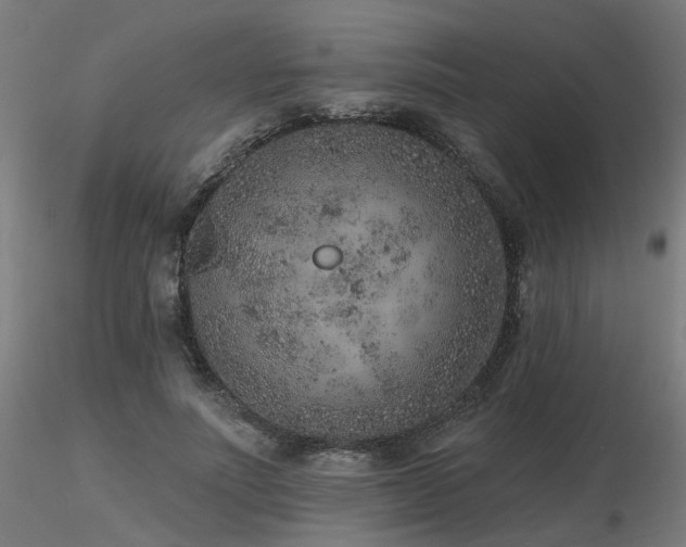X0000116770691200912171534