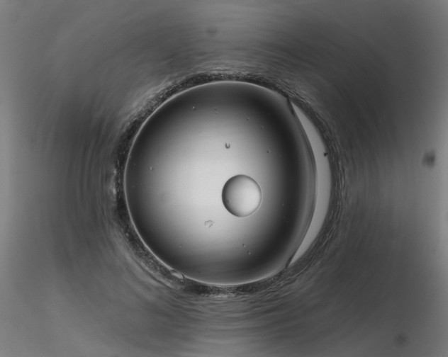 X0000116770692200912171534
