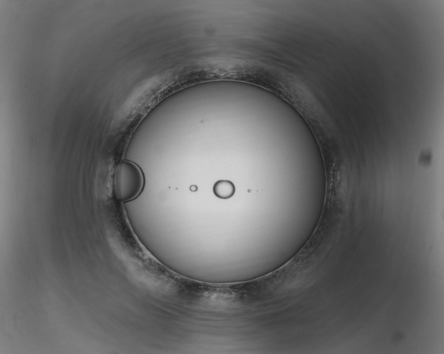 X0000116770694200912171534