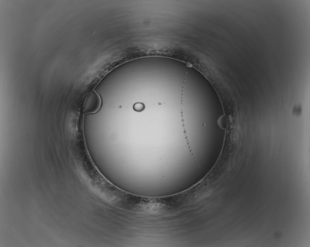 X0000116770695200912171534