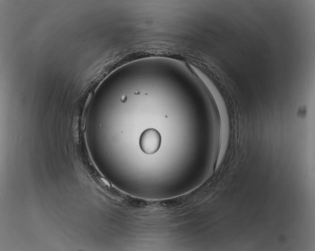 X0000116770696200912171534