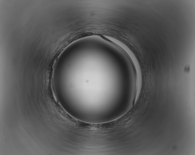 X0000116770697200912171534