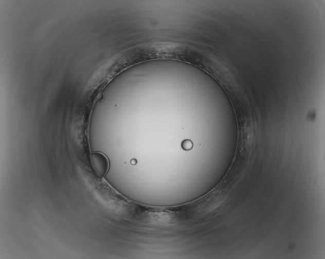 X0000116770698200912171534