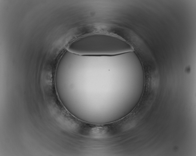 X0000116770700200912171534