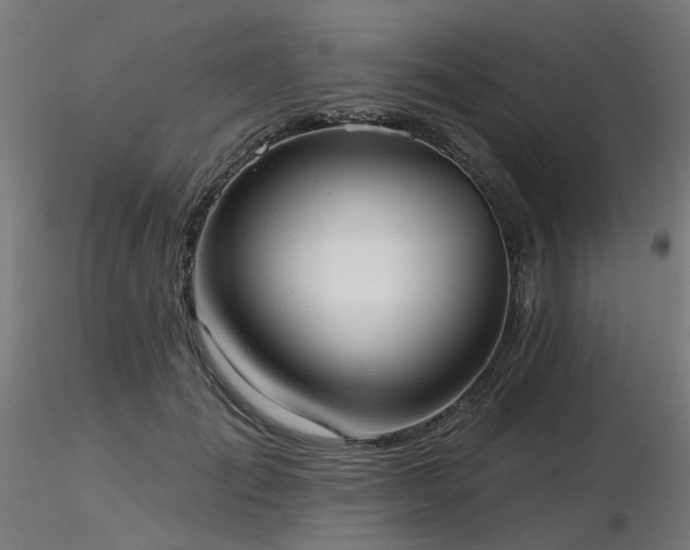 X0000116770701200912171534