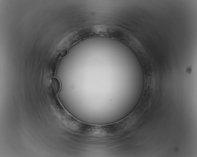 X0000116770702200912171534