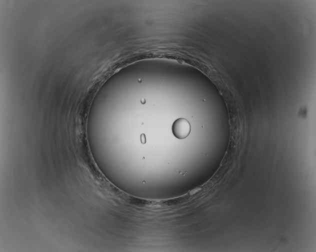 X0000116770704200912171534