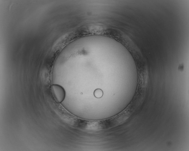 X0000116770705200912171534