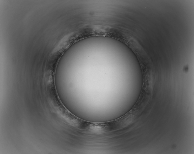 X0000116770706200912171534