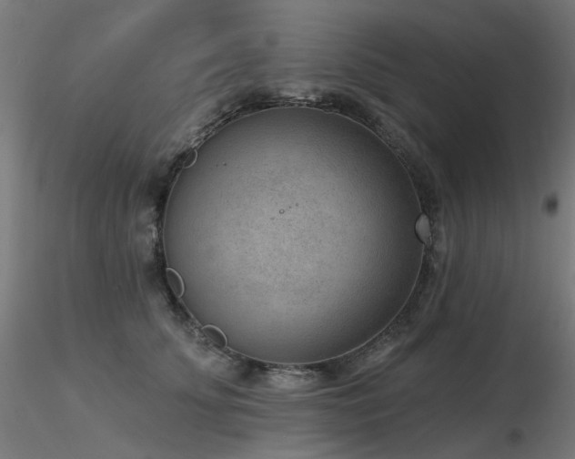 X0000116770707200912171534