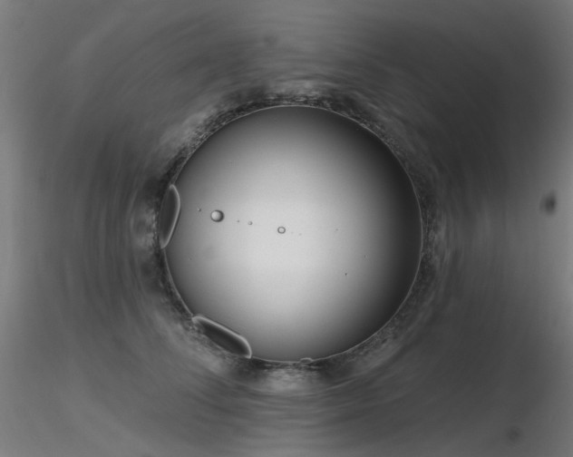 X0000116770708200912171534