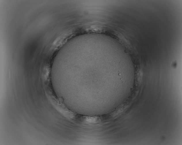 X0000116770709200912171534