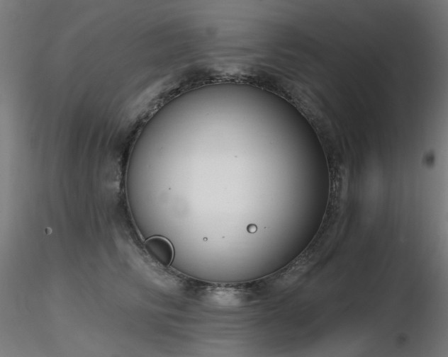 X0000116770710200912171534