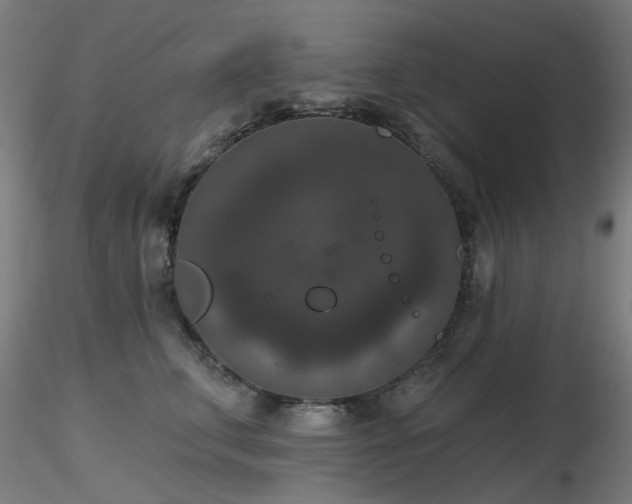 X0000116770711200912171534