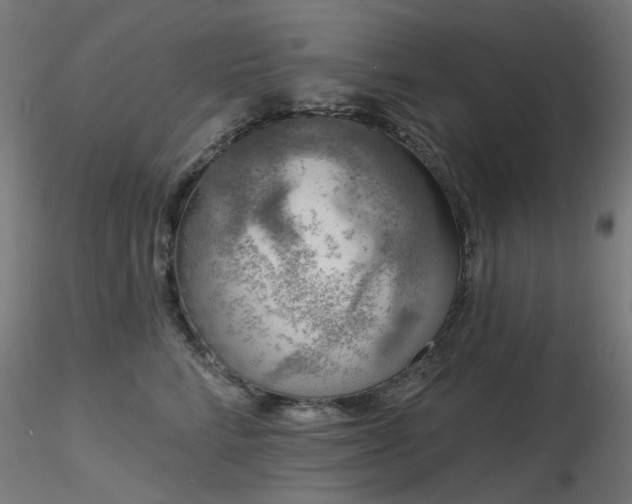 X0000116770712200912171534
