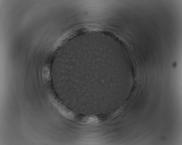 X0000116770715200912171533