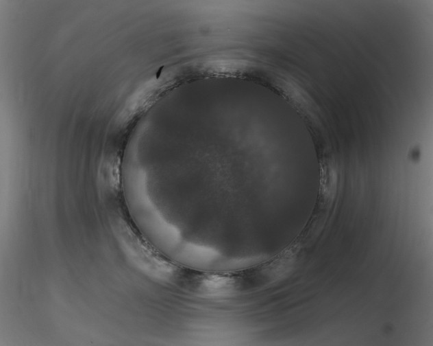 X0000116770718200912171533