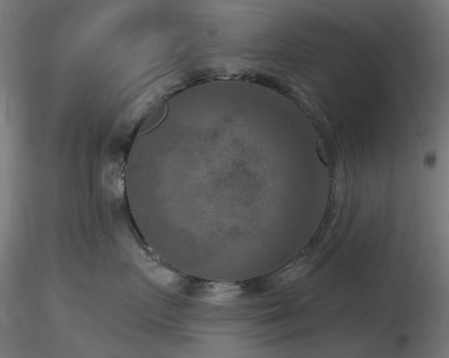 X0000116770719200912171533