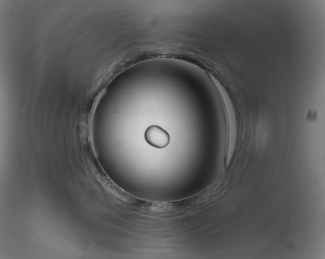 X0000116770720200912171533