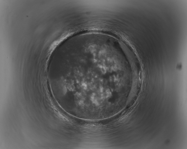 X0000116770721200912171533