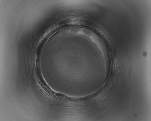 X0000116770722200912171533