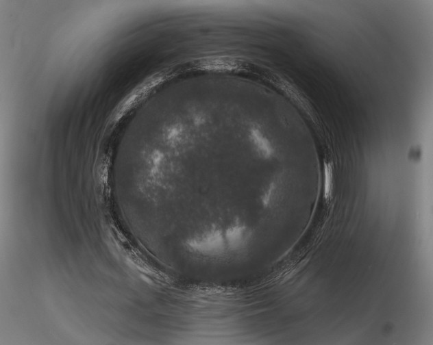 X0000116770723200912171533