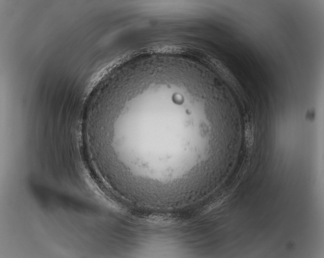 X0000116770725200912171533