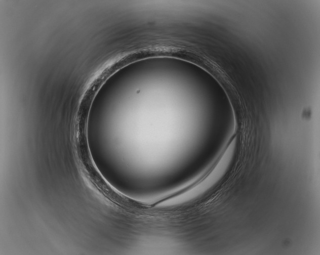 X0000116770726200912171533