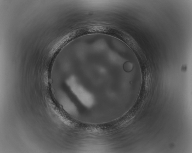 X0000116770729200912171533