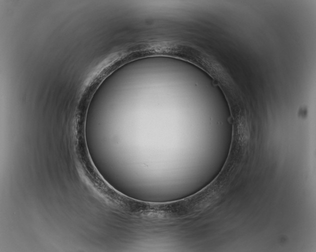 X0000116770730200912171533