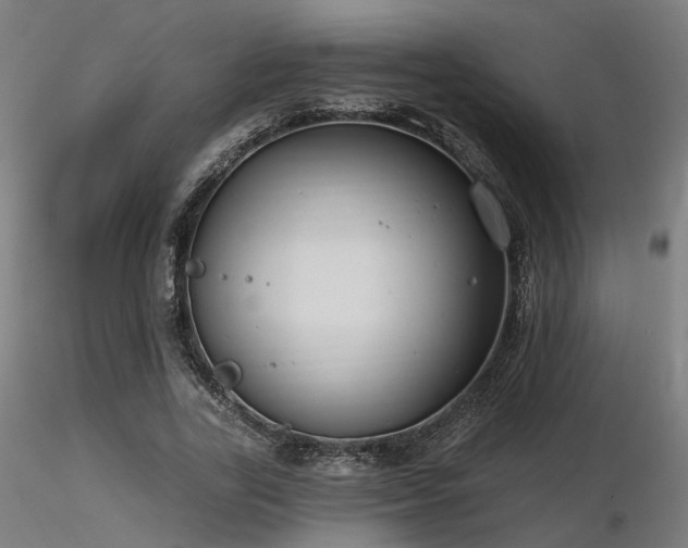 X0000116770731200912171533
