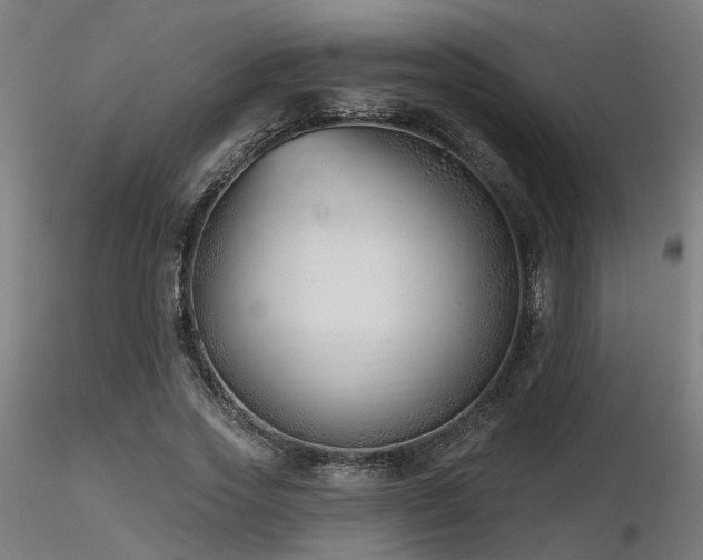 X0000116770733200912171533
