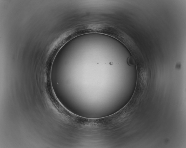 X0000116770734200912171533