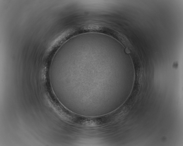 X0000116770735200912171533