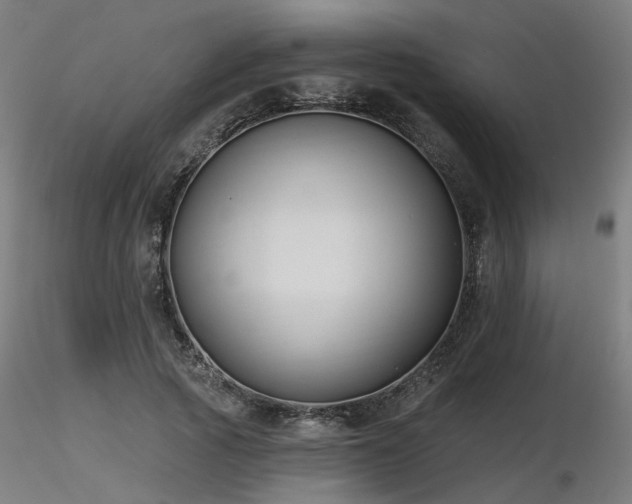 X0000116770737200912171533