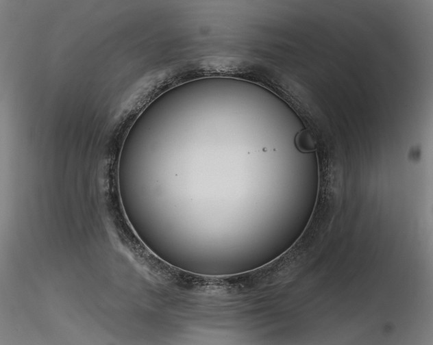 X0000116770738200912171533