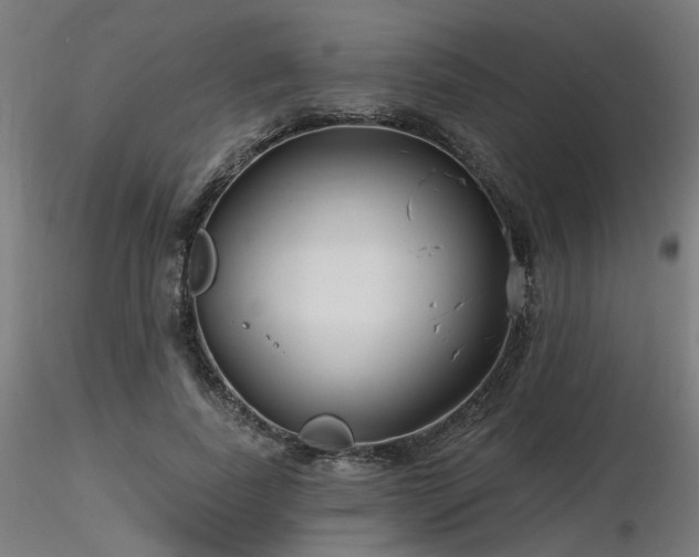 X0000116770739200912171533